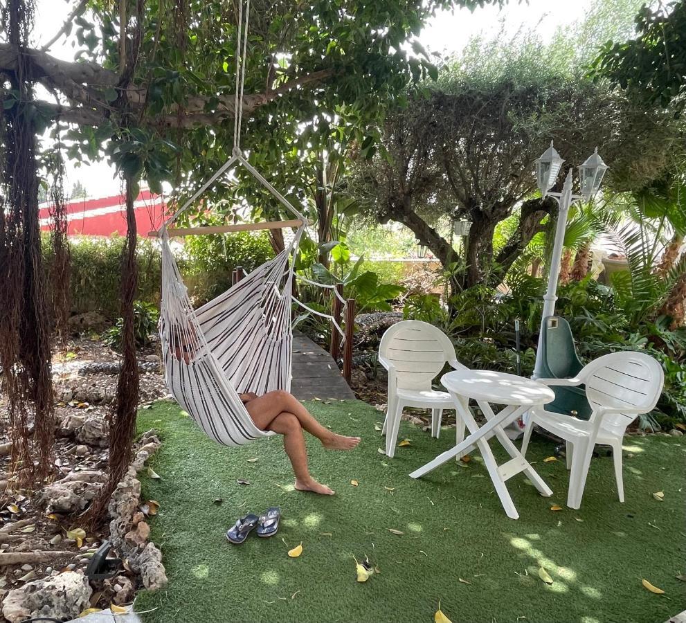 Habitacion Agregada, Suite Frente A La Piscina 2 P Habitacion No Casa Completa San Vicente Raspeig Dış mekan fotoğraf